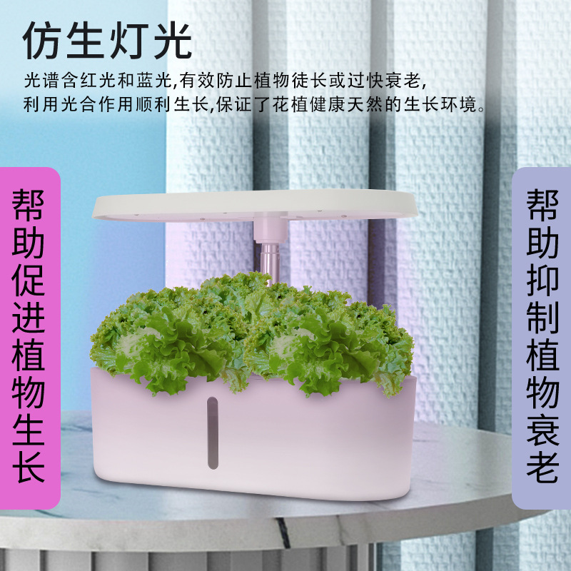 가정용 스마트 수경 재배기 무토양 수경 꽃 재배 시스템 - Smart Home In Us 리뷰 및 가격