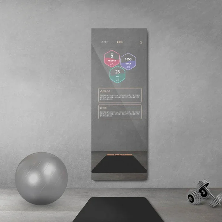 메타핏 토날 홈 글라스 월 플로어 스마트 피트니스 미러 - Smart Home Gym Mirror 리뷰 및 가격